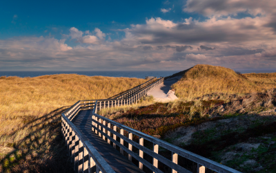 Strand22